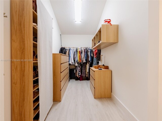 6110 Pitch Ln, Boynton Beach, FL 33437 - walk in closet with light wood-style floors