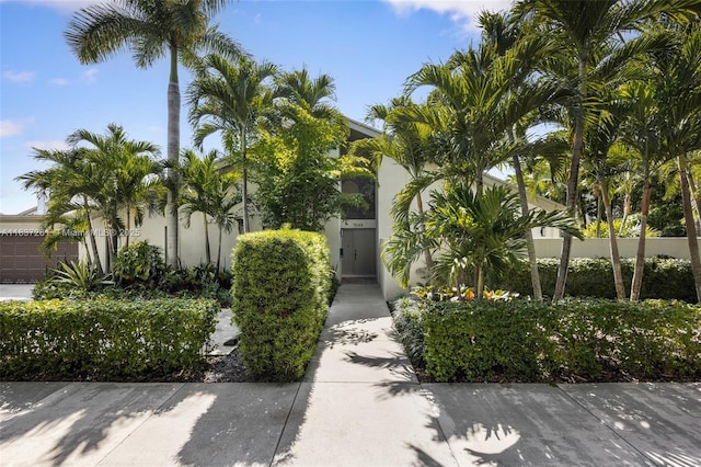7045 SW 67th Ave Unit 40, South Miami, FL 33143 - photo 1