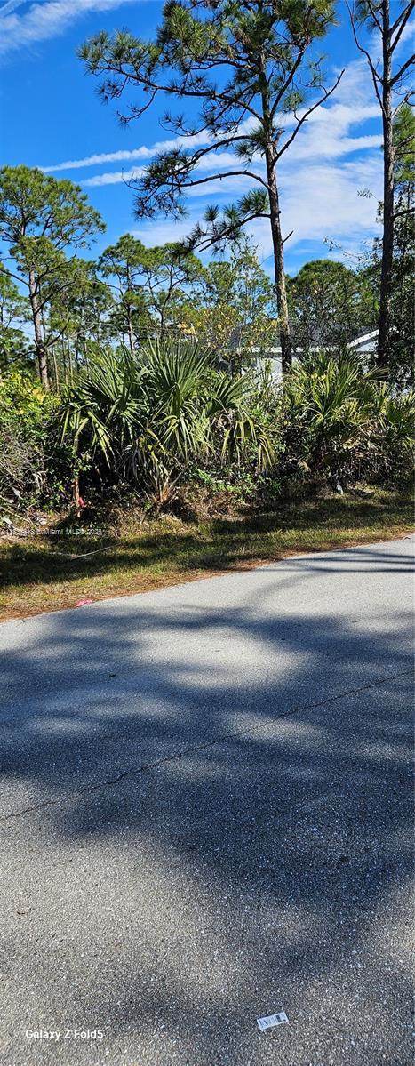 27396 Corinthian Ave, Punta Gorda, FL 33955 - photo 2