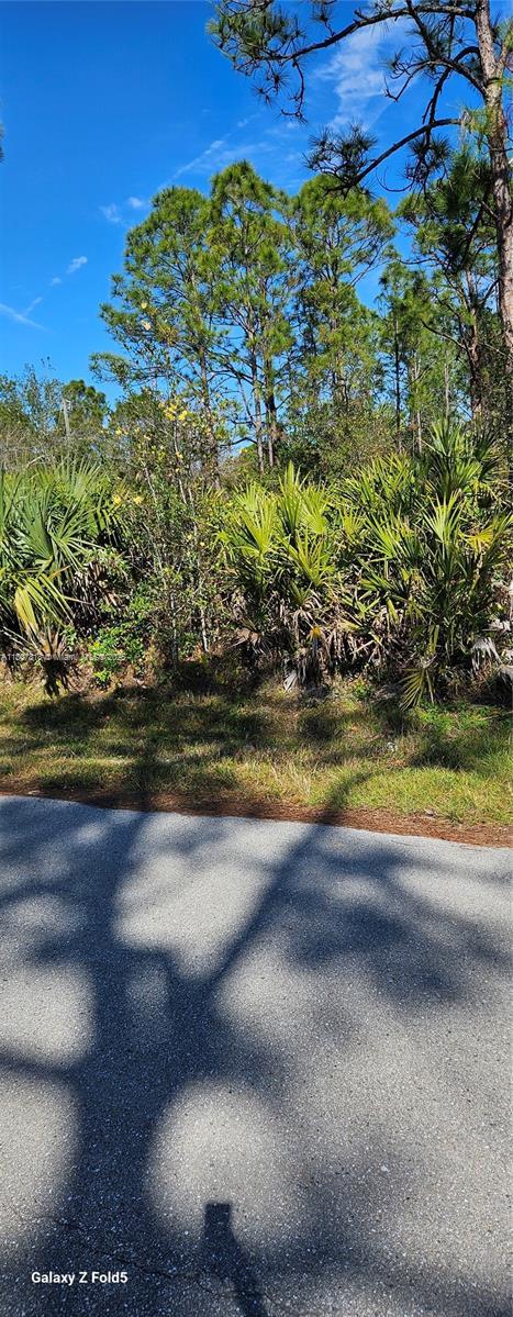 27396 Corinthian Ave, Punta Gorda, FL 33955 - photo 5