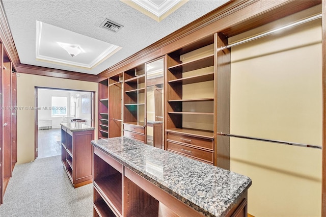 19480 SW 39th Ct, Miramar, FL 33029 - spacious closet with light colored carpet and a raised ceiling