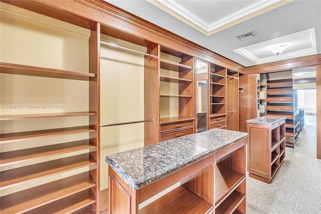 19480 SW 39th Ct, Miramar, FL 33029 - walk in closet with a raised ceiling and carpet flooring