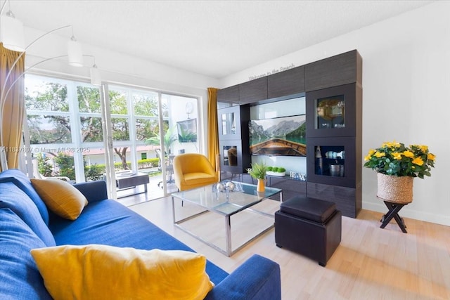 1501 S Ocean Blvd Unit 227, Lauderdale By The Sea, FL 33062 - living room with light wood-style floors and baseboards