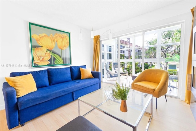 1501 S Ocean Blvd Unit 227, Lauderdale By The Sea, FL 33062 - living room featuring healthy amount of natural light and wood finished floors