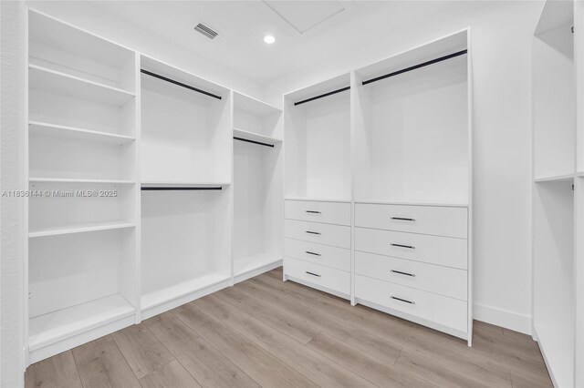 121 SW Sea Lion Rd, Port St Lucie, FL 34953 - walk in closet featuring light wood finished floors