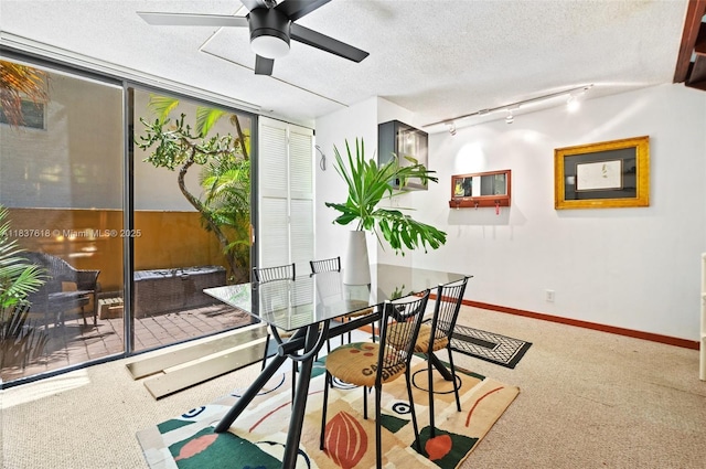 2778 Day Ave Unit 2, Miami, FL 33133 - carpeted dining area featuring ceiling fan, rail lighting, and a textured ceiling