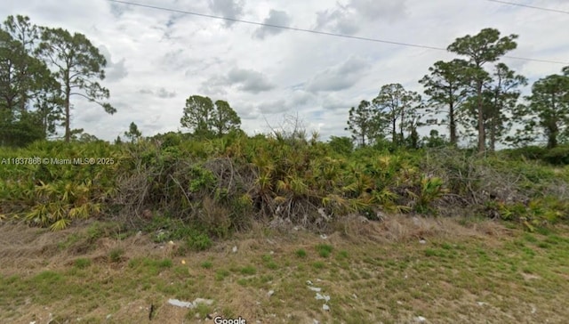 1247 Antonio St E, Lehigh Acres, FL 33974