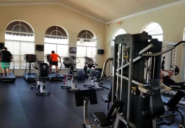 3395 NE 9th St Unit 104, Homestead, FL 33033 - gym with vaulted ceiling and crown molding