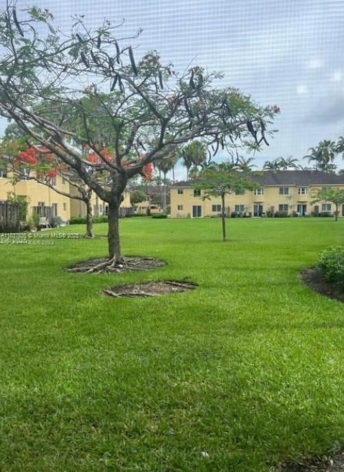 3395 NE 9th St Unit 104, Homestead, FL 33033 - view of home's community featuring a lawn