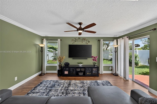 18205 NW 21st St, Pembroke Pines, FL 33029 - living room featuring ceiling fan, crown molding, wood finished floors, and a textured ceiling