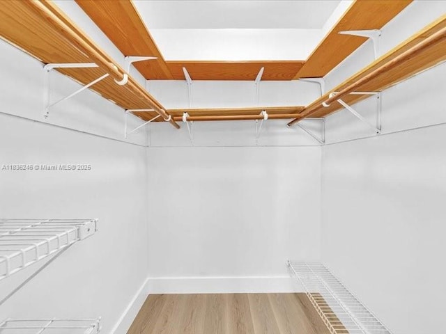 6000 NW 64th Ave Unit 303, Tamarac, FL 33319 - walk in closet featuring light wood-style flooring