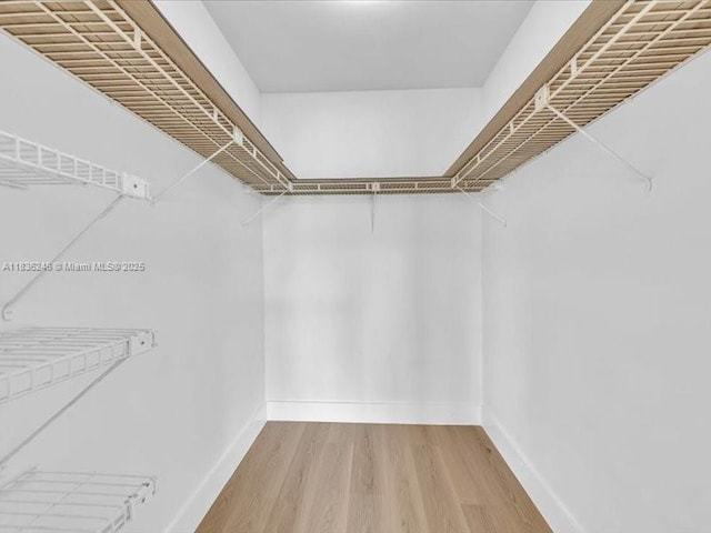6000 NW 64th Ave Unit 303, Tamarac, FL 33319 - spacious closet featuring light wood-style flooring