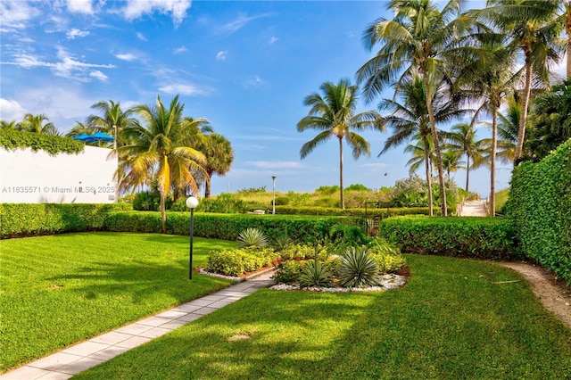 1623 Collins Ave Unit Ph1010, Miami Beach, FL 33139 - view of grassy yard