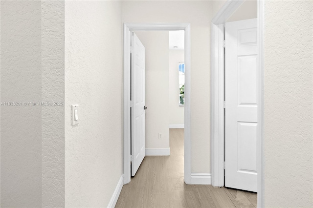 798 Quartz Ter, Palm Beach, FL 33413 - hallway featuring a textured wall and light wood finished floors
