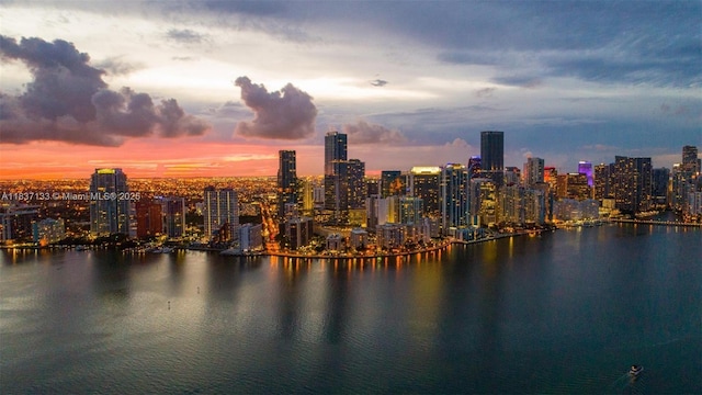 1435 Brickell Ave Unit 3106, Miami, FL 33131 - view of city skyline featuring a large body of water