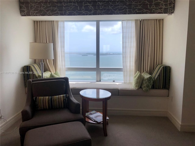 1435 Brickell Ave Unit 3106, Miami, FL 33131 - sitting room with carpet flooring and baseboards
