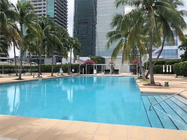 1435 Brickell Ave Unit 3106, Miami, FL 33131 - view of community pool