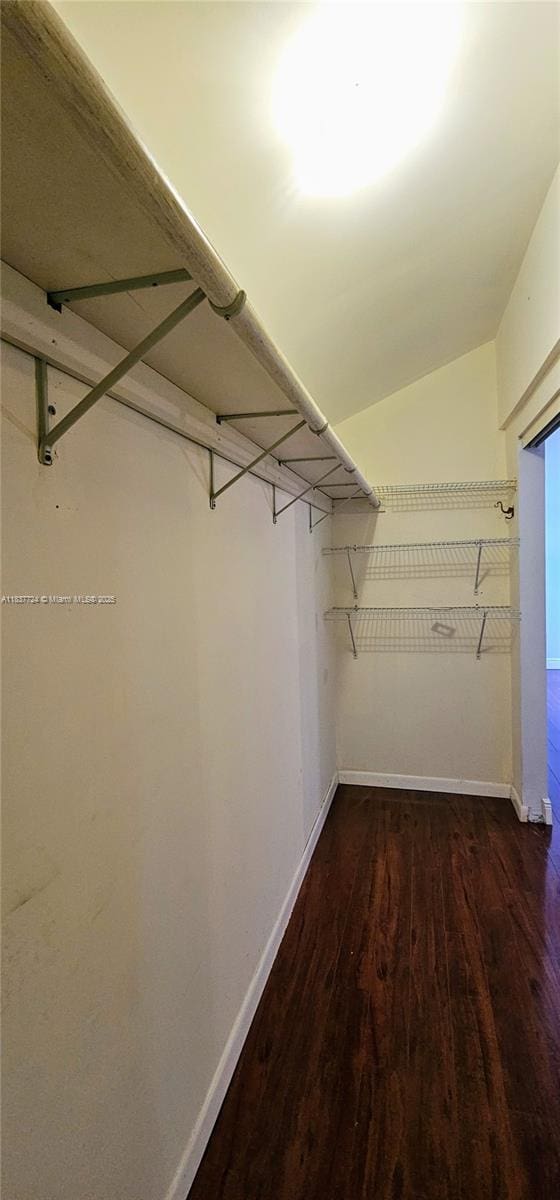 10194 SW 137th Ct Unit 10194, Miami, FL 33186 - walk in closet with wood finished floors