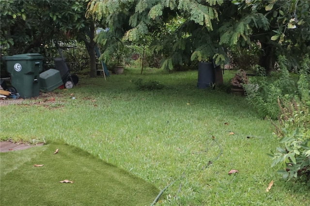 256 Broward Ave, Green Acres, FL 33463 - view of yard