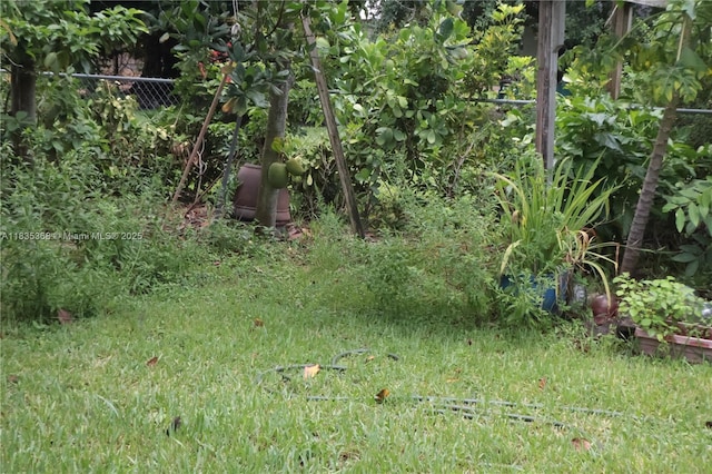 256 Broward Ave, Green Acres, FL 33463 - view of yard