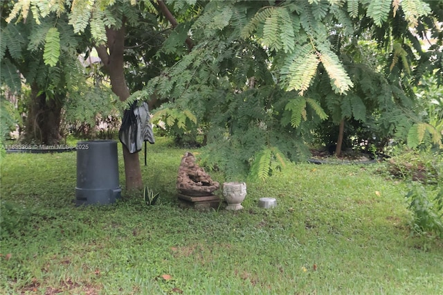 256 Broward Ave, Green Acres, FL 33463 - view of green lawn