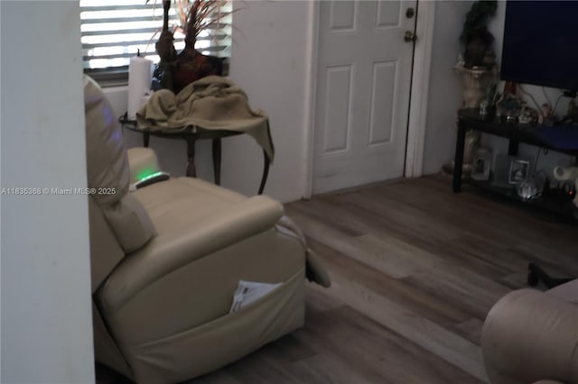 256 Broward Ave, Green Acres, FL 33463 - living room featuring light wood-style floors