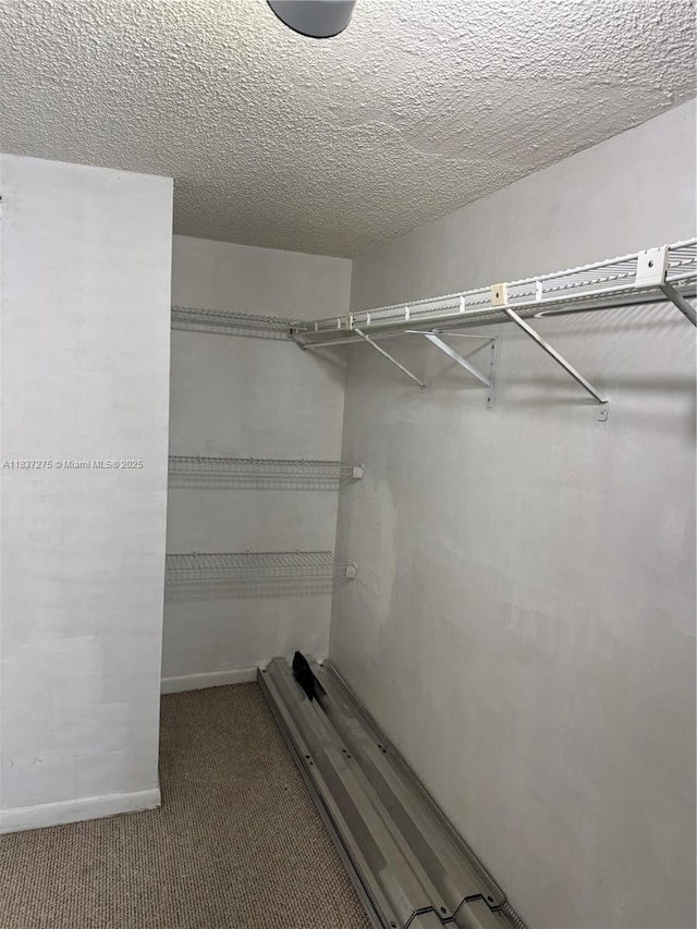 18240 Mediterranean Blvd Unit 5-11, Hialeah, FL 33015 - walk in closet featuring carpet flooring