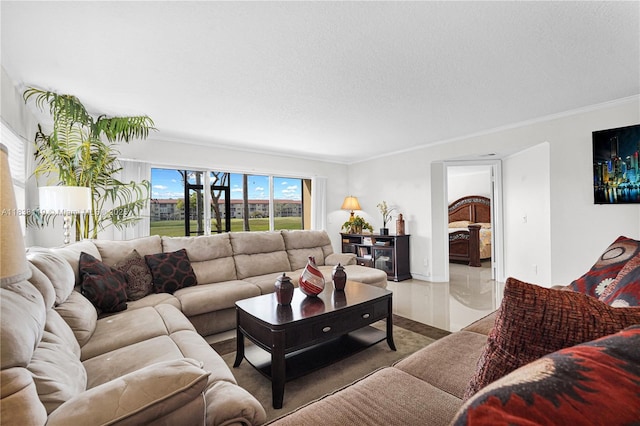 12650 SW 6th St Unit 101K, Pembroke Pines, FL 33027 - living area with crown molding