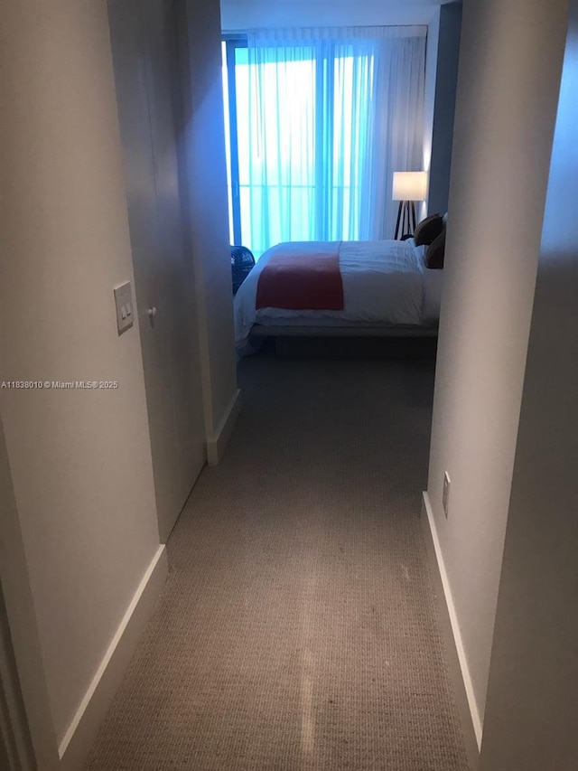 4111 S Ocean Dr Unit 3105, Hollywood, FL 33019 - hallway with carpet floors