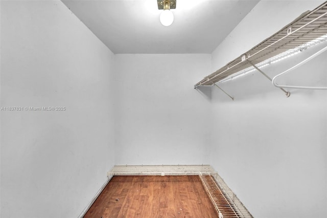 911 Mockingbird Ln, Plantation, FL 33324 - spacious closet featuring wood finished floors