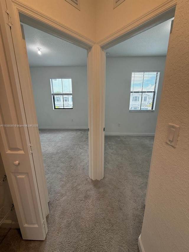 28517 SW 134th Ave, Homestead, FL 33033 - photo 14
