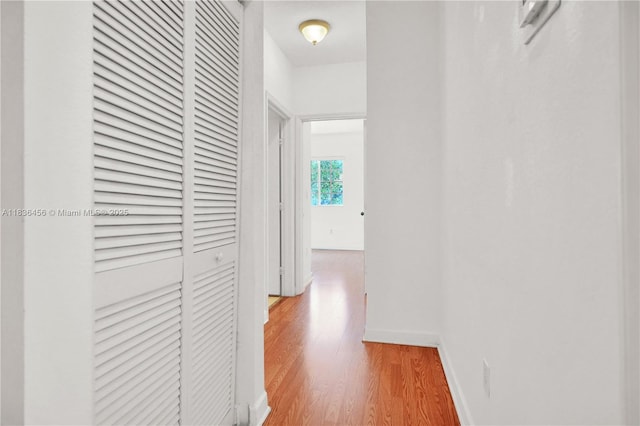 14815 SW 9th Ln, Miami, FL 33194 - hallway with wood finished floors and baseboards