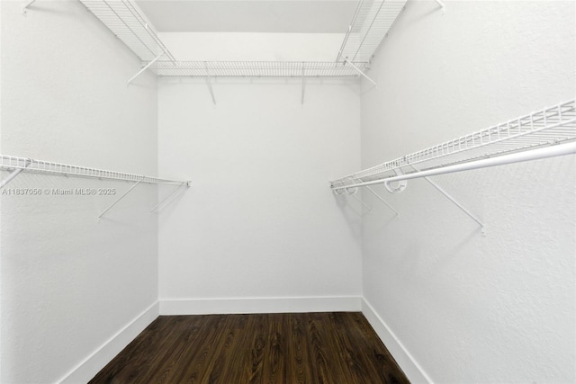 8899 NW 169th Ter, Hialeah, FL 33018 - walk in closet with dark wood-style flooring