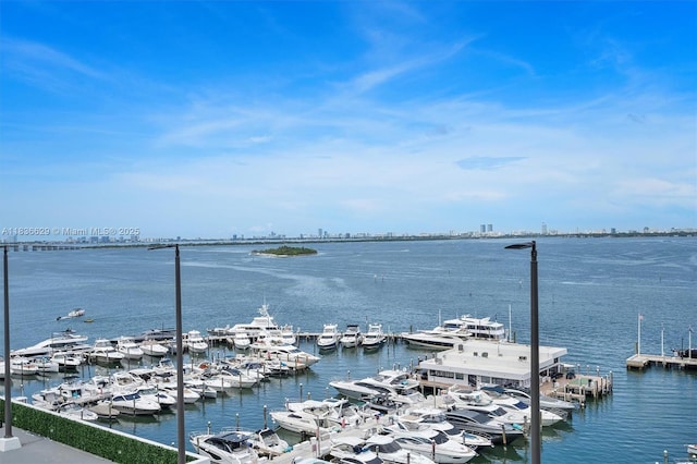 555 NE 15th St Unit 11D, Miami, FL 33132 - water view with a marina and a boat dock