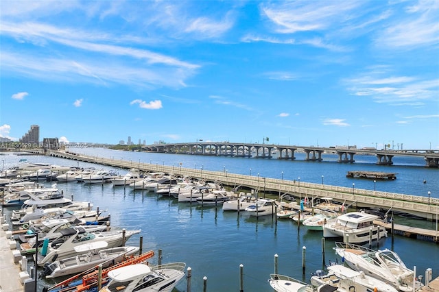 555 NE 15th St Unit 11D, Miami, FL 33132 - water view with a notable bridge, numerous boat docks, and a dock