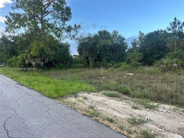 1406 Henry Ave, Lehigh Acres, FL 33972 - photo 1