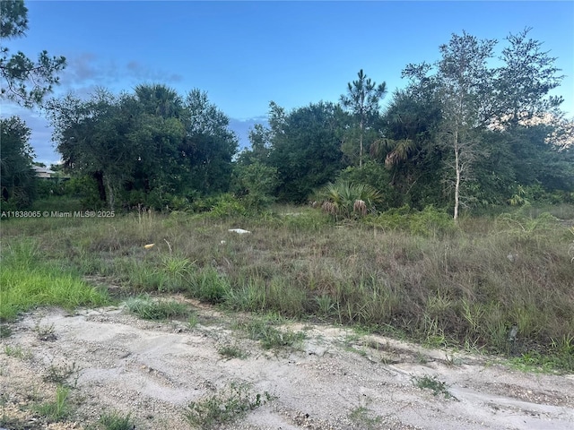 1406 Henry Ave, Lehigh Acres, FL 33972 - photo 2