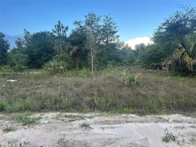 1406 Henry Ave, Lehigh Acres, FL 33972 - photo 3