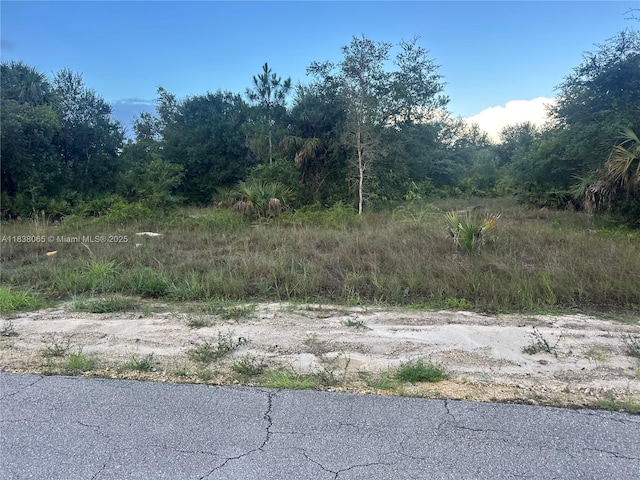 1406 Henry Ave, Lehigh Acres, FL 33972 - photo 4