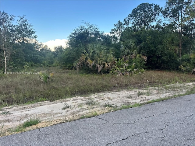 1406 Henry Ave, Lehigh Acres, FL 33972 - photo 5