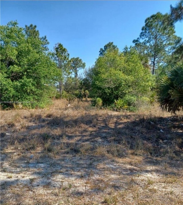1406 Henry Ave, Lehigh Acres, FL 33972 - photo 6