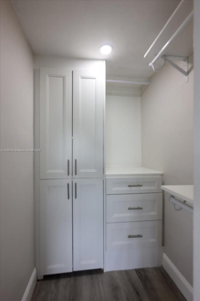 1200 SW 12th St Unit 214, Fort Lauderdale, FL 33315 - spacious closet featuring dark wood finished floors