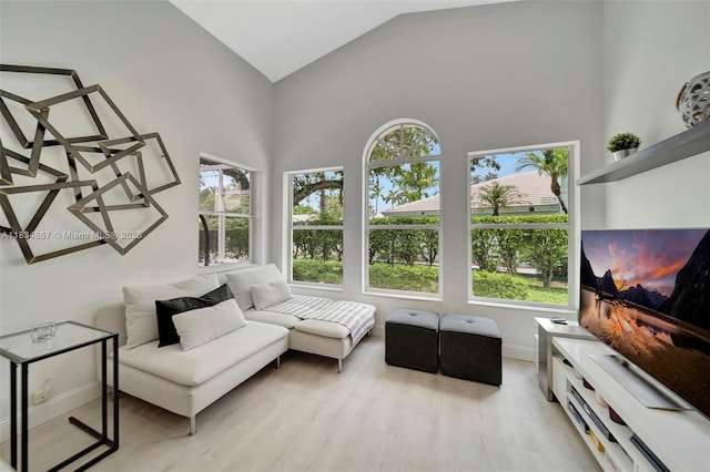 15281 Wilshire Ct, Pembroke Pines, FL 33027 - living area featuring light wood-style flooring and high vaulted ceiling
