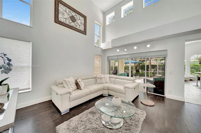 15281 Wilshire Ct, Pembroke Pines, FL 33027 - living area with a high ceiling, plenty of natural light, wood finished floors, and track lighting