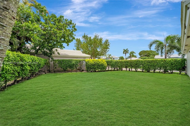 15281 Wilshire Ct, Pembroke Pines, FL 33027 - view of fenced backyard