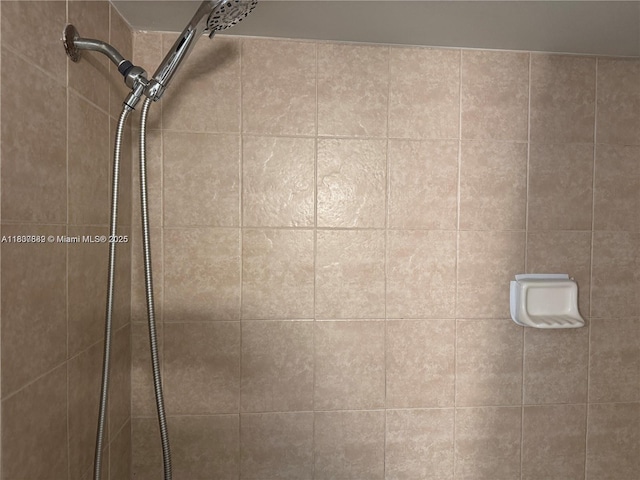 4235 N University Dr Unit 312, Sunrise, FL 33351 - bathroom view of a tile shower