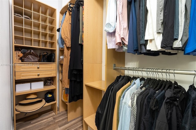 724 SW 106th Ave Unit 2010, Pembroke Pines, FL 33025 - spacious closet with wood finished floors