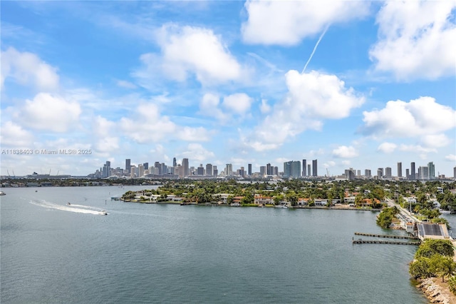 3 Island Ave Unit 12E, Miami Beach, FL 33139 - water view with skyline