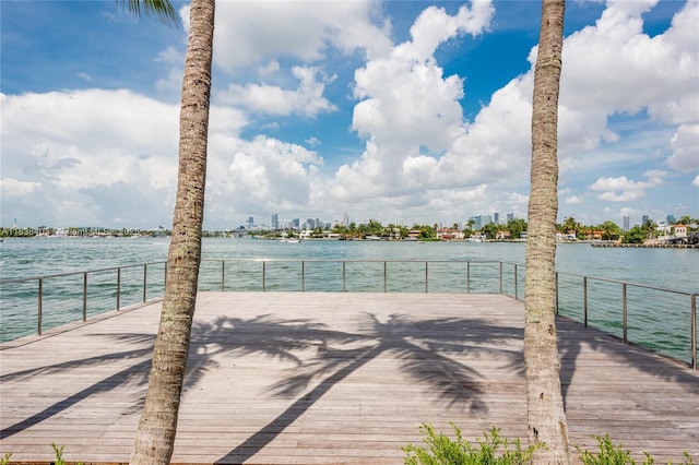 3 Island Ave Unit 12E, Miami Beach, FL 33139 - dock area featuring a water view