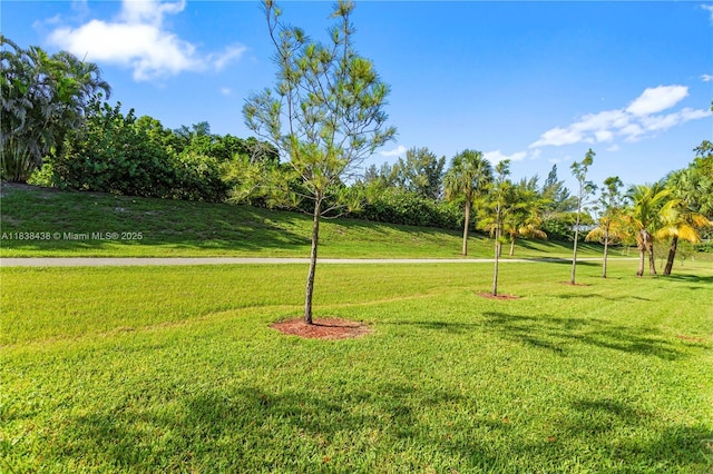 19111 NE 8th Ct, Miami, FL 33179 - photo 16